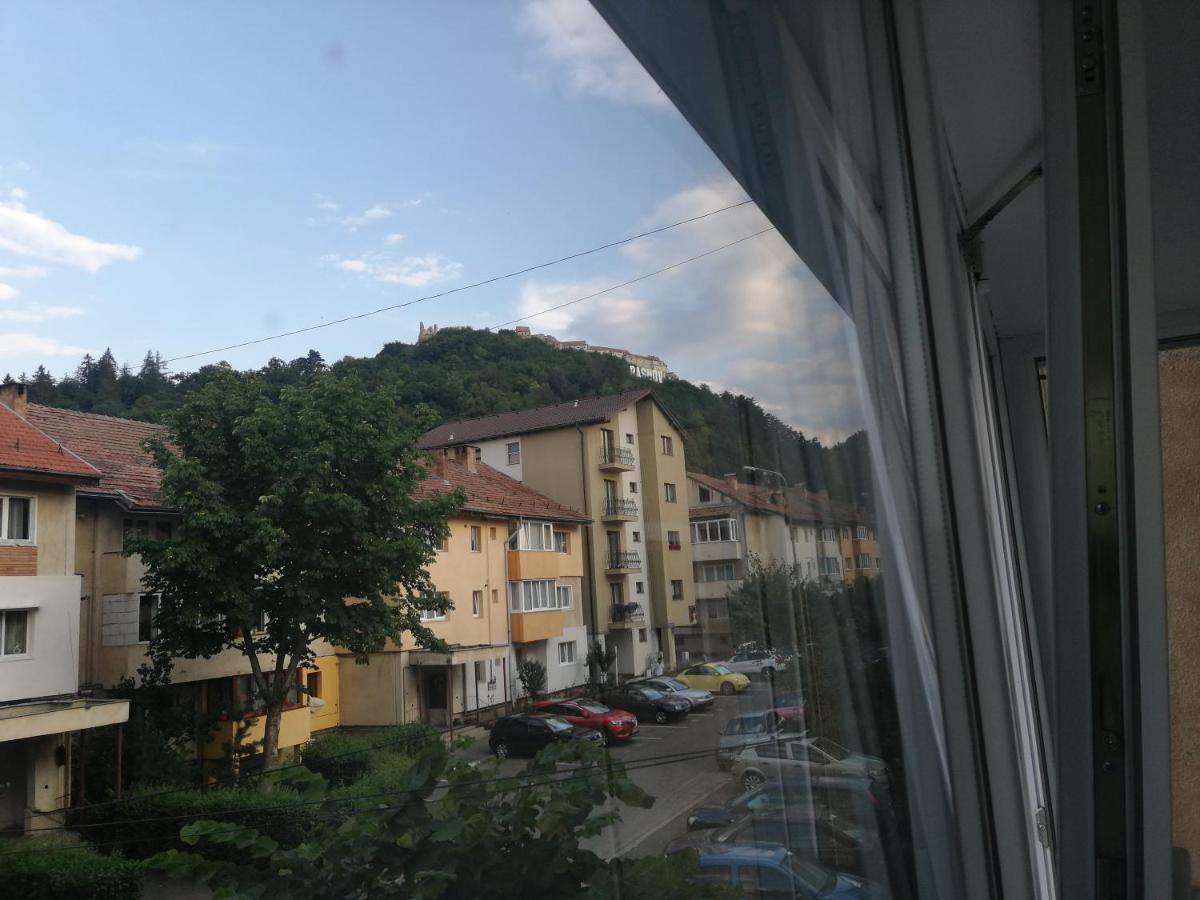 Rosenau Apartment Рышнов Экстерьер фото